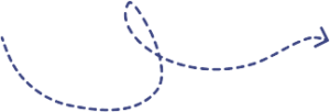 squirel line pattern
